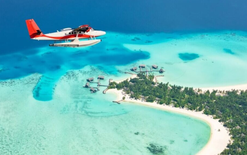 Island Tour / Dolphin Cruise